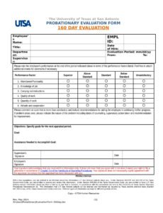 Costum Probationary Period Performance Review Template