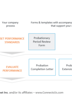 Costum Probationary Period Performance Review Template Word