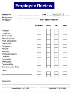 Editable Account Manager Performance Review Template Excel Example