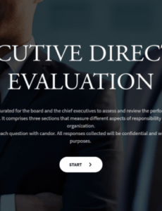 Editable Nonprofit Executive Director Performance Review Template Word