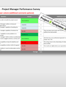 Editable Project Manager Performance Review Template Word Example