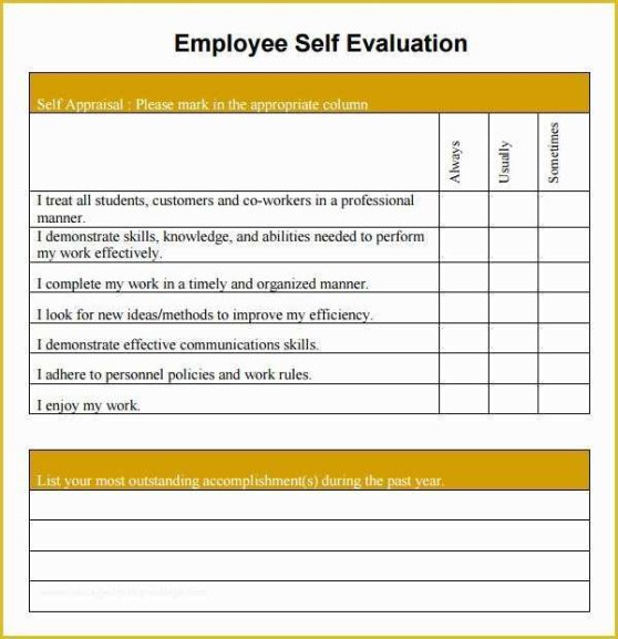 Editable Self Evaluation Performance Review Template Word Example