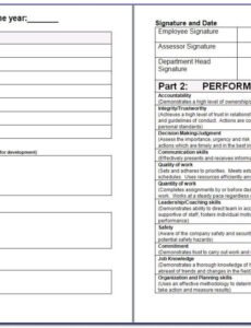 Editable Senior Executive Performance Review Template