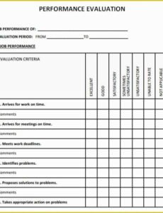 Editable Software Developer Performance Review Template Pdf Sample