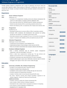 Editable Software Engineer Performance Review Template Word