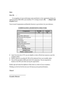 Executive Director Performance Review Template Doc Example