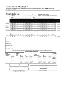 Free Truck Driver Performance Review Template Doc