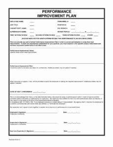 Mid Year Performance Review Template Pdf