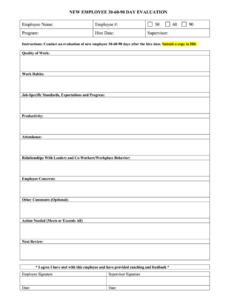 Printable New Hire Performance Review Template Pdf Example