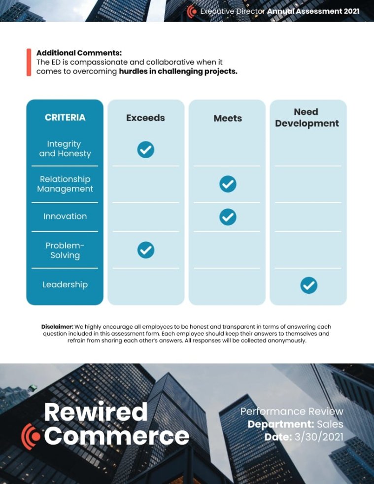 Printable Nonprofit Executive Director Performance Review Template Word