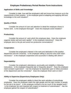 Probationary Period Performance Review Template Excel Example