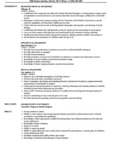 Professional Dental Hygienist Performance Review Template Word Example