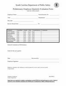 Professional Employee Quarterly Performance Review Template  Sample