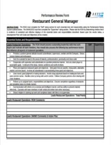 Professional Manager Tools Performance Review Template  Example