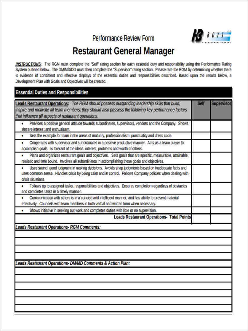 Professional Manager Tools Performance Review Template  Example