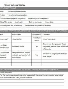 Professional Mid Year Performance Review Template Pdf Example