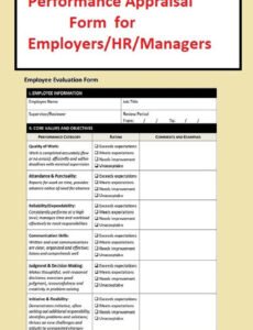 Professional Self Appraisal Performance Review Template Pdf Sample