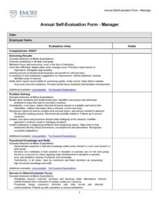 Values Based Performance Review Template Pdf Example