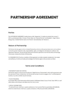 Professional Business Partner Contract Agreement Template Doc