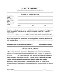 Professional Payment Plan Contract Agreement Template Doc Sample