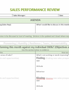 Best Weekly Sales Performance Review Template  Example
