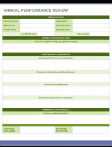 Costum Board Performance Review Template Excel