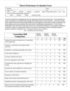 Costum Intern Performance Review Template Excel Example