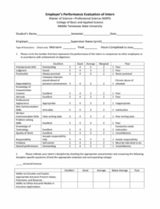 Editable Intern Performance Review Template Excel Sample