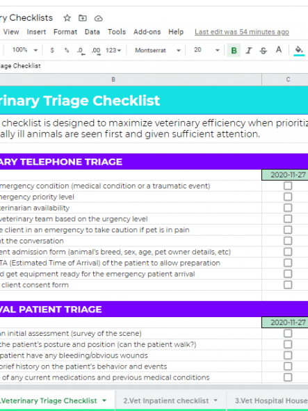 Editable Veterinary Technician Performance Review Template Word