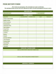 Printable Executive Level Performance Review Template Word Example