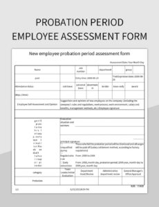 Printable Introductory Period Performance Review Template Excel