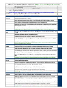 Professional Board Performance Review Template Excel