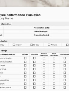 Professional Executive Level Performance Review Template Word Example