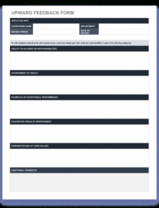 Professional Fair Work Performance Review Template  Sample