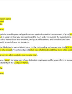 Best Under Performance Review Template Doc