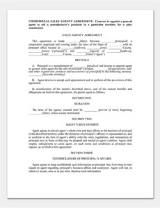 Best Conditional Sales Contract Template Doc Example