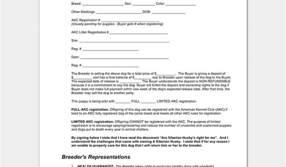 Best Conditional Sales Contract Template Excel Example