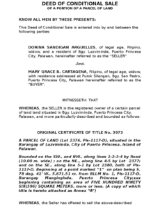 Conditional Sales Contract Template Doc Example