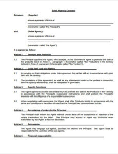 Costum Sales Agent Contract Template Word Example