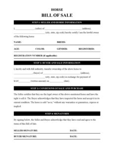 Editable Horse Sales Contract Template Word Sample