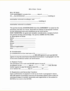 Printable Horse Sales Contract Template Pdf