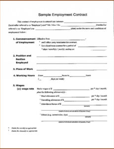 Printable Month To Month Employment Contract Template  Example